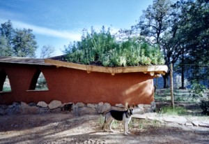 california cob, natural building, natural building workshops, natural building workshops california, rob pollacek