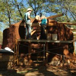 california cob, natural building workshops, rob pollacek, cob workshops california