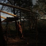 california cob, natural building workshops, rob pollacek, cob workshops california